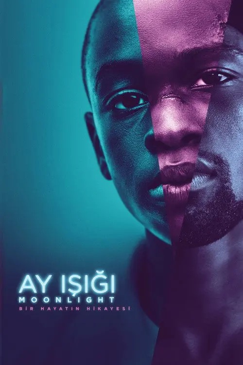 Ay Işığı, 2016 ödülü